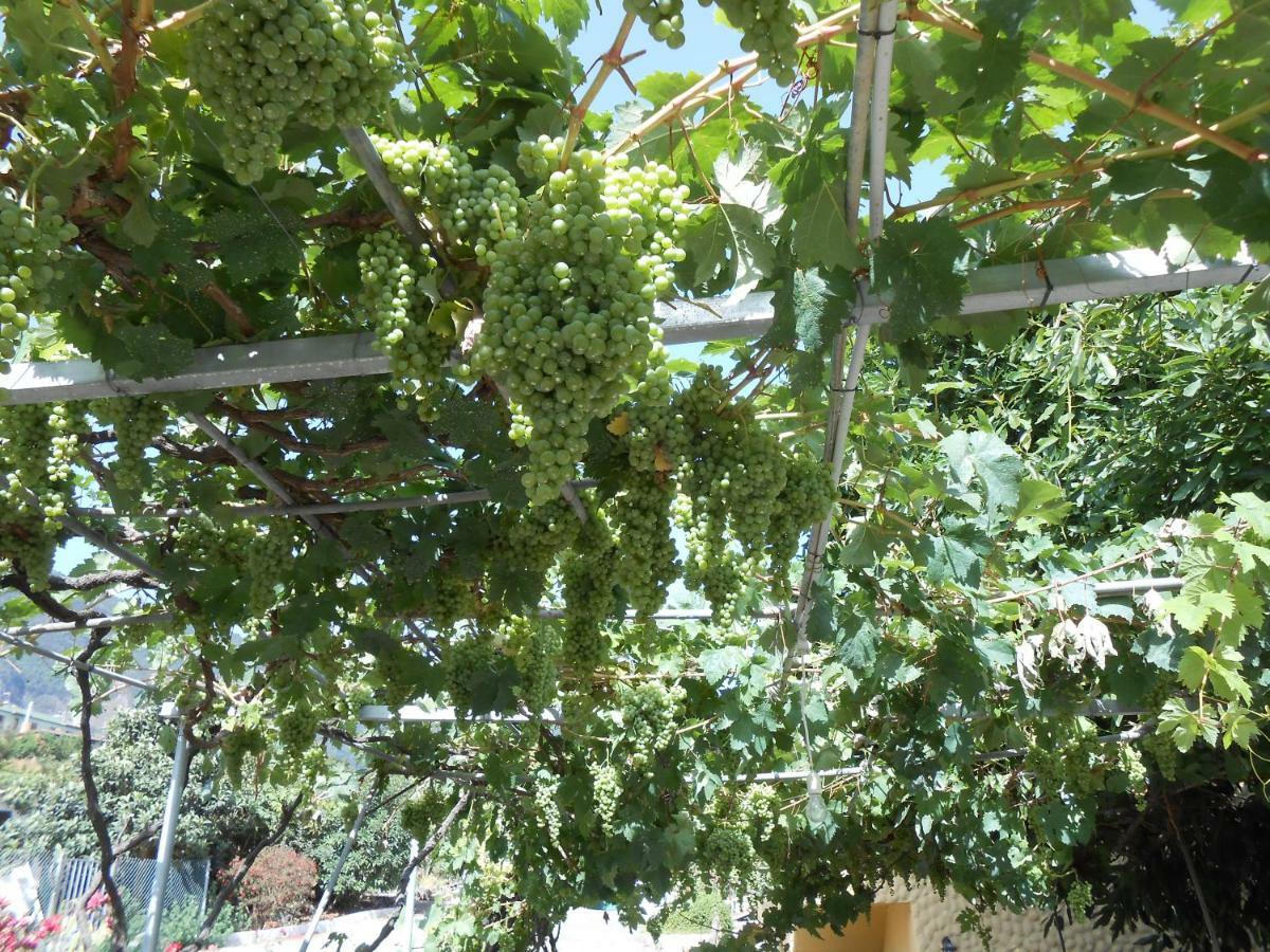 Casitas Las Uvas Y Las Vinas Лос-Реалехос Экстерьер фото