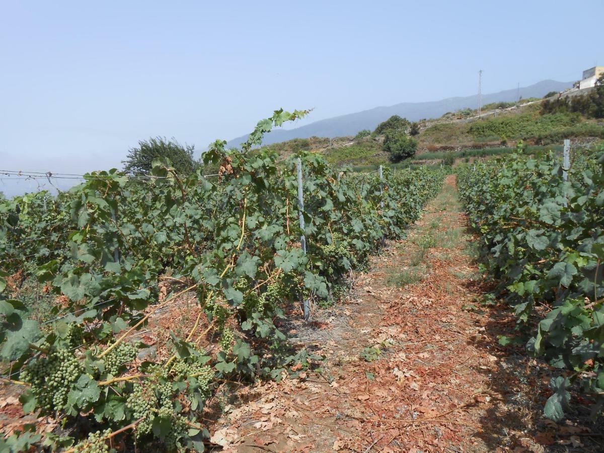 Casitas Las Uvas Y Las Vinas Лос-Реалехос Экстерьер фото